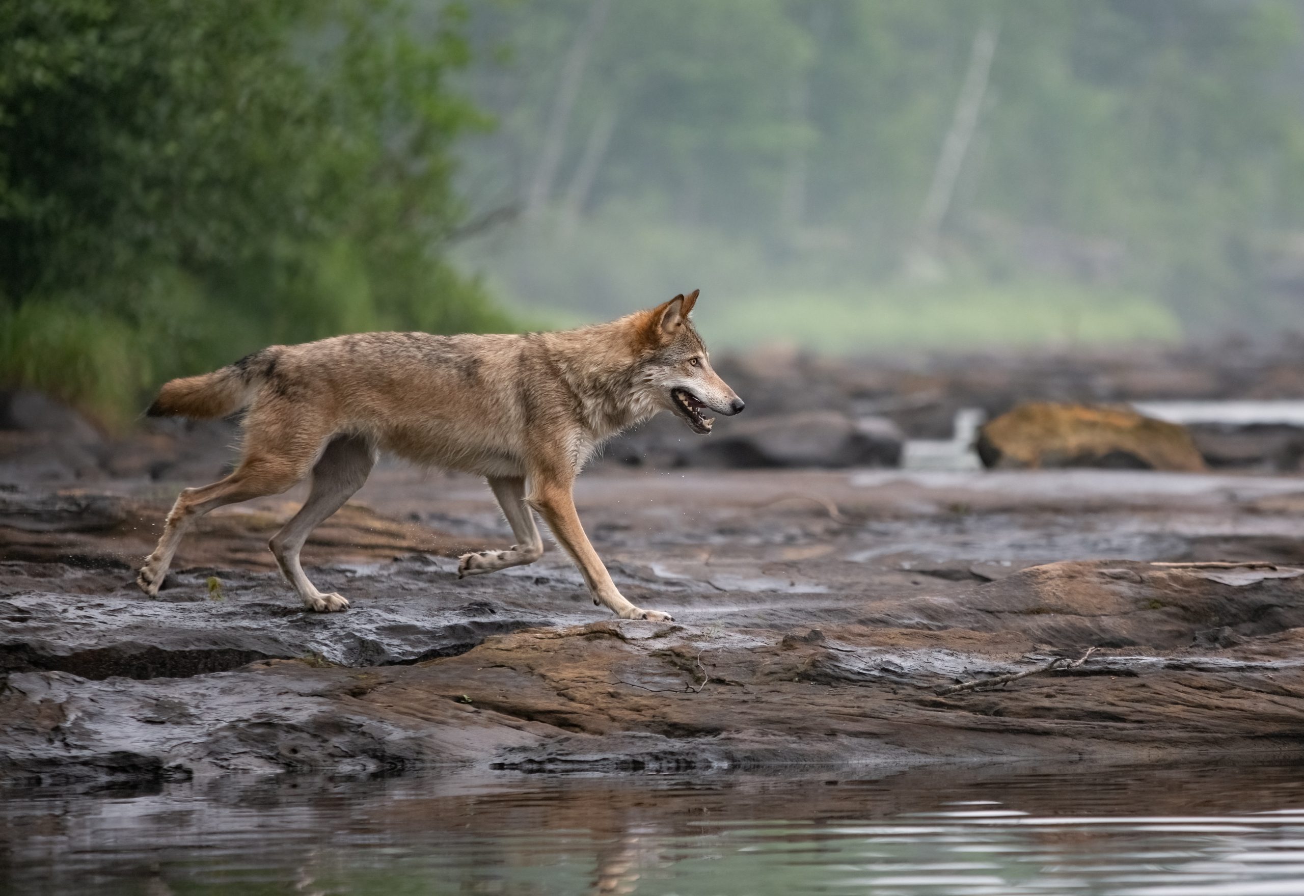 taiki-ishikawa-w6EMxsk8CDA-unsplash Minnesota