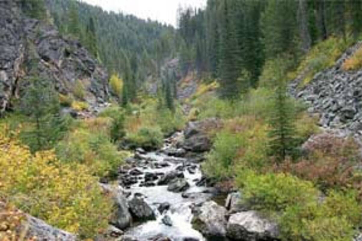 Crooked Creek in Gospel Hump Wilderness — Nez Perce National Forest, western Idaho, U.S