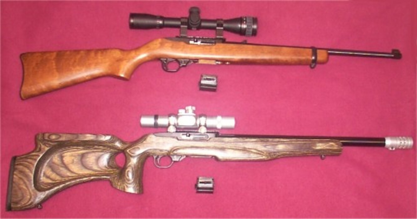 Standard Ruger 10/22 Carbine, and a highly modified Ruger 10/22