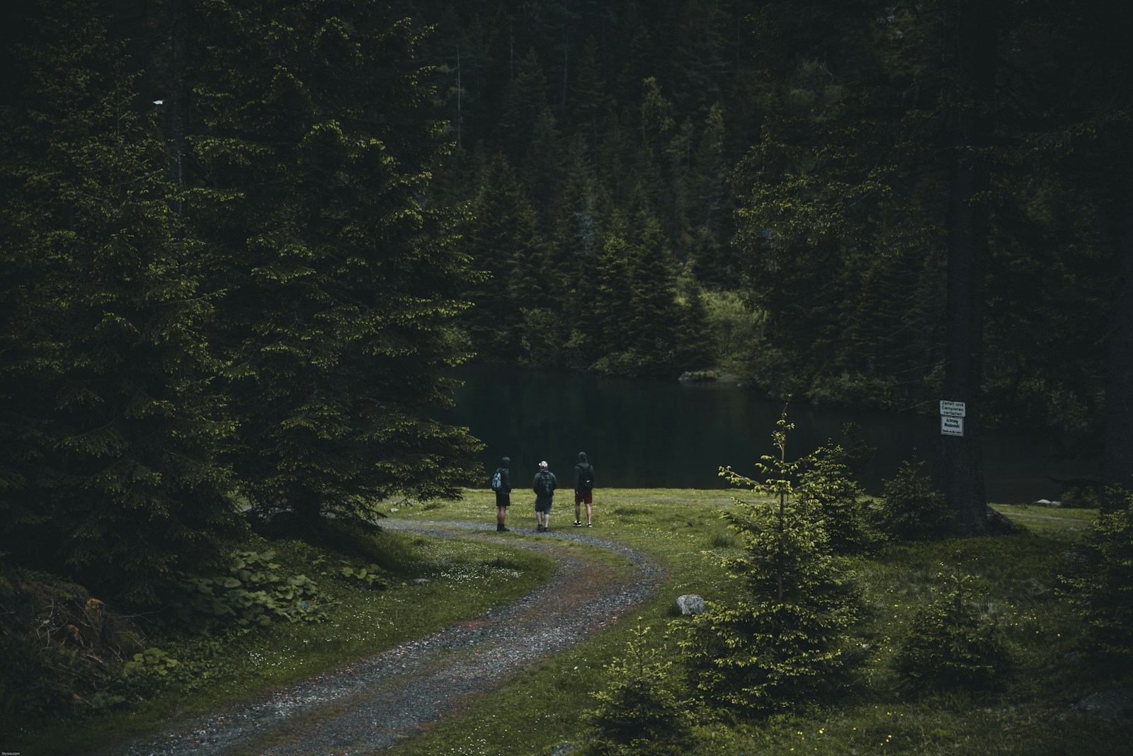 three person walking on pathway near trees