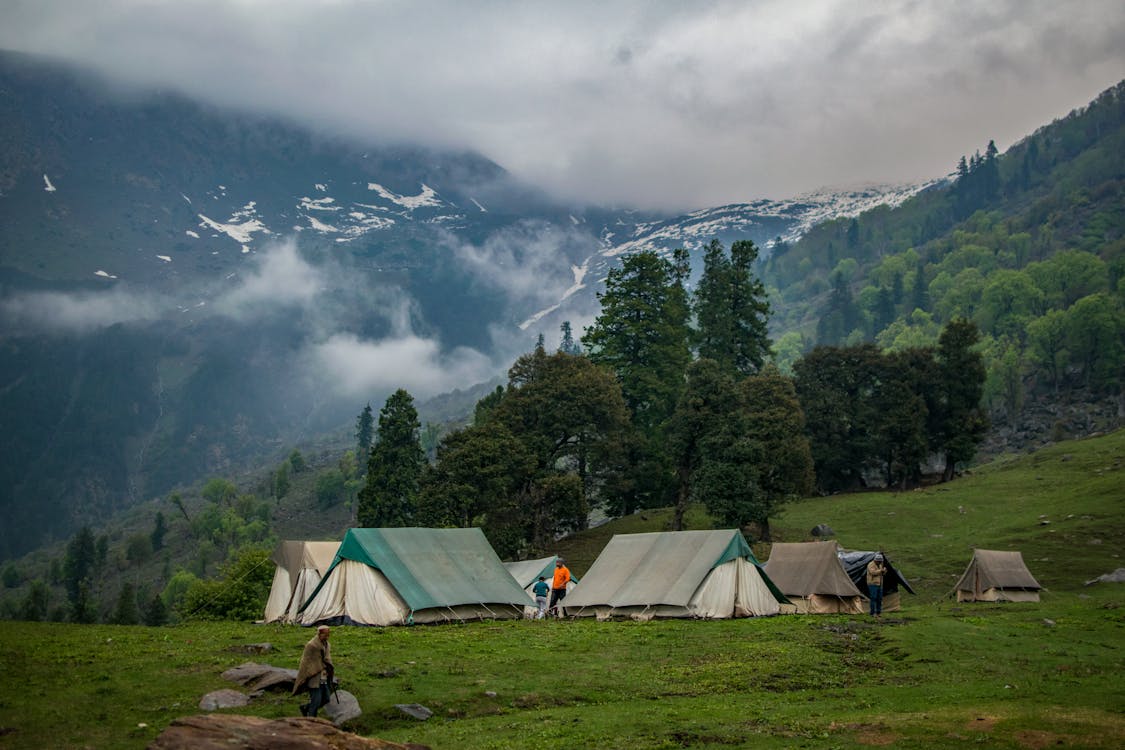 Green and White Tents Near Trees