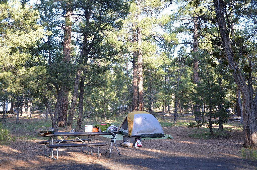 Grand Canyon Mather Campground SR 6021
