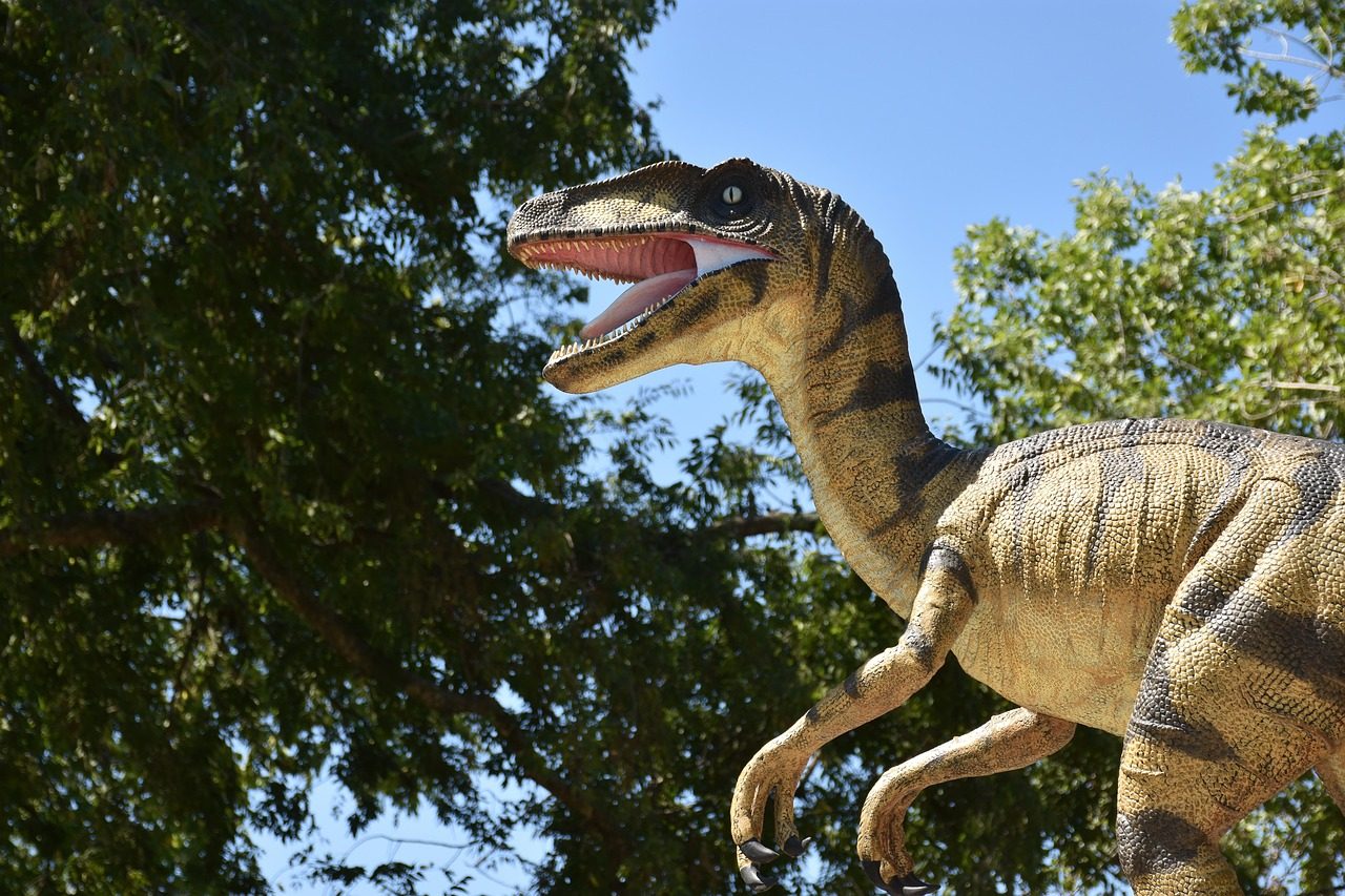 Velociraptor