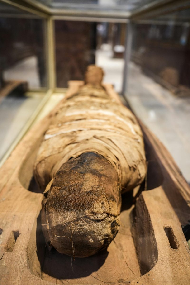 Close-up of an ancient Egyptian mummy displayed in a museum exhibit.