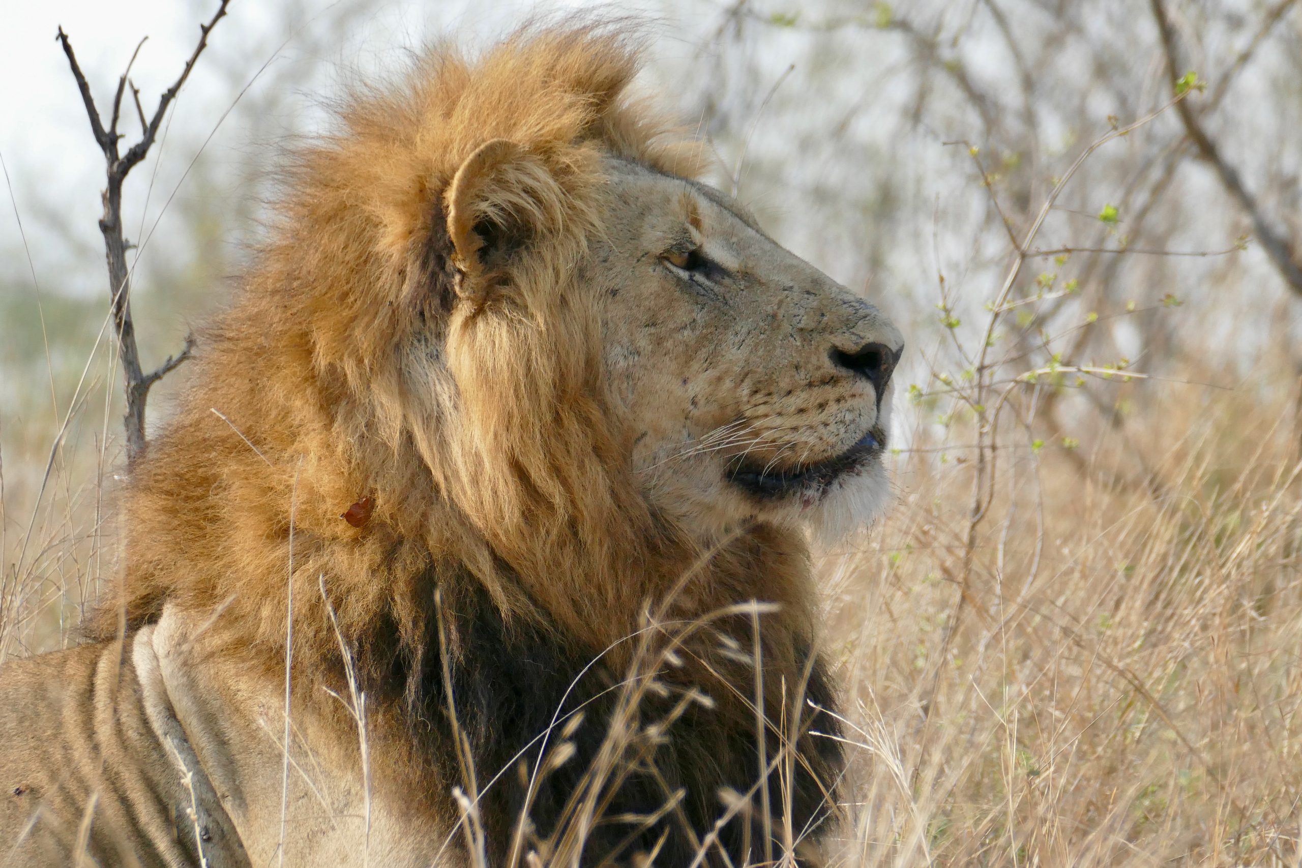 taiki-ishikawa-w6EMxsk8CDA-unsplash