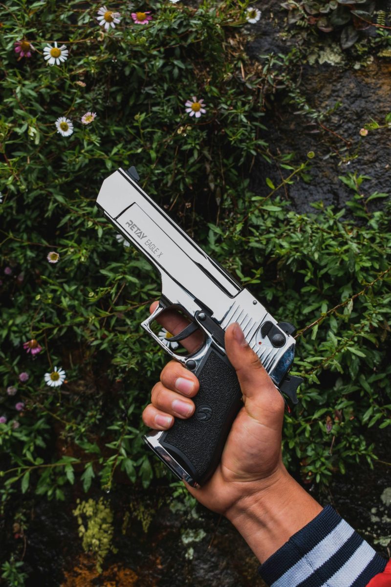 Person holding a silver pistol with a nature background. Captures the contrast between security and nature.