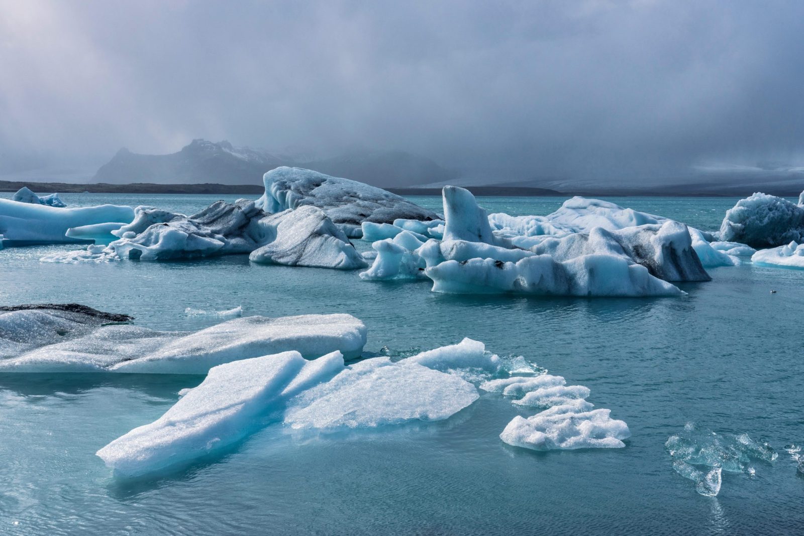 Beautiful icebergs floating in a tranquil arctic ocean under a cloudy sky.