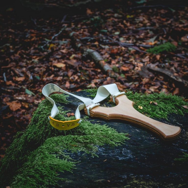 slingshot, forest, catapult, sport, skill, nature, aiming, precision