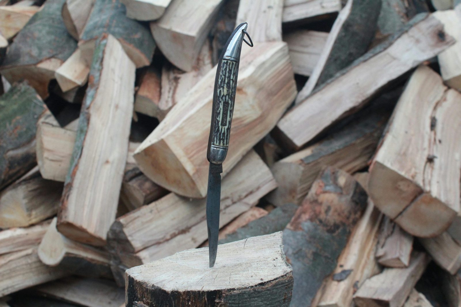 Close-up of a pocket knife embedded in a tree stump surrounded by stacked firewood.