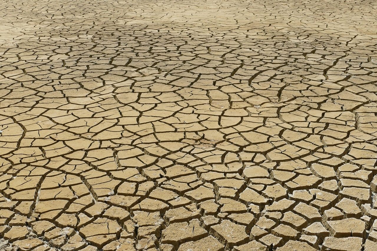 dry, dehydration, drought, tear, crack, soil, nature, ground, structure, texture, desert, clay, bottom, climate, climate change