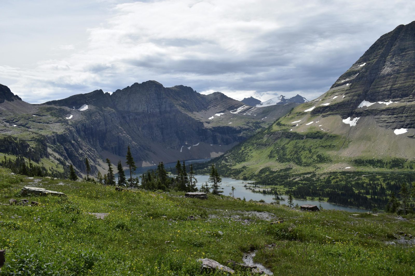 Huckleberry Trail, Glacier National Park