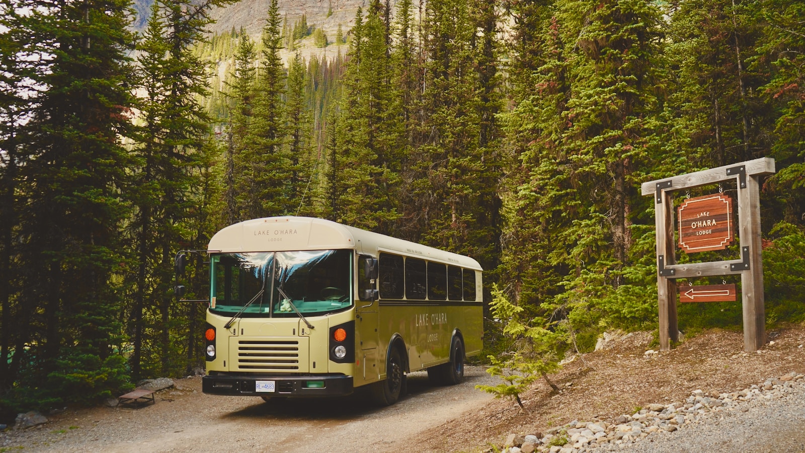 Shuttle Bus And Transportation Guidelines in National Park