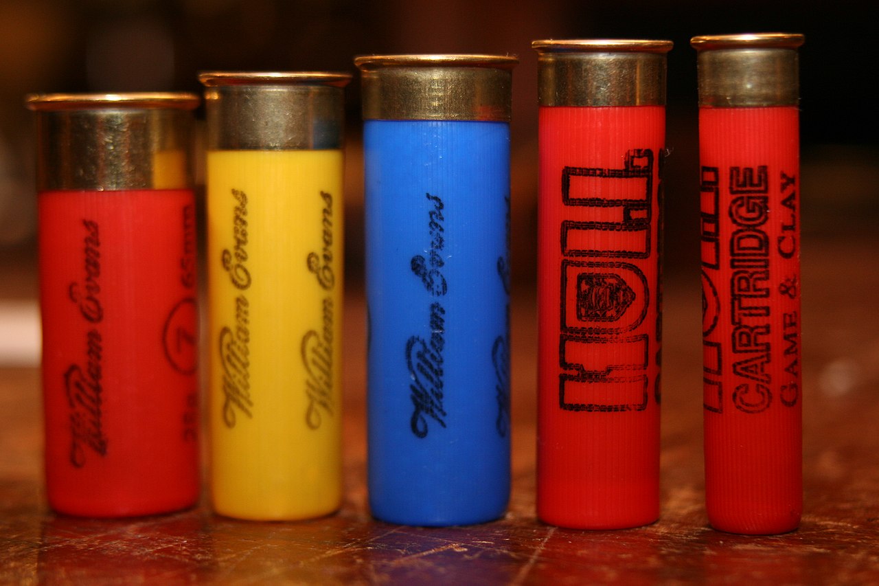 Generic Birdshot Shotgun Shells