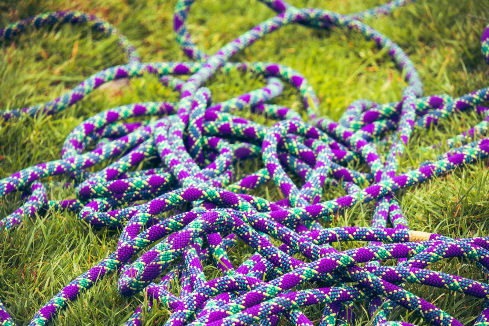 Paracord Rope