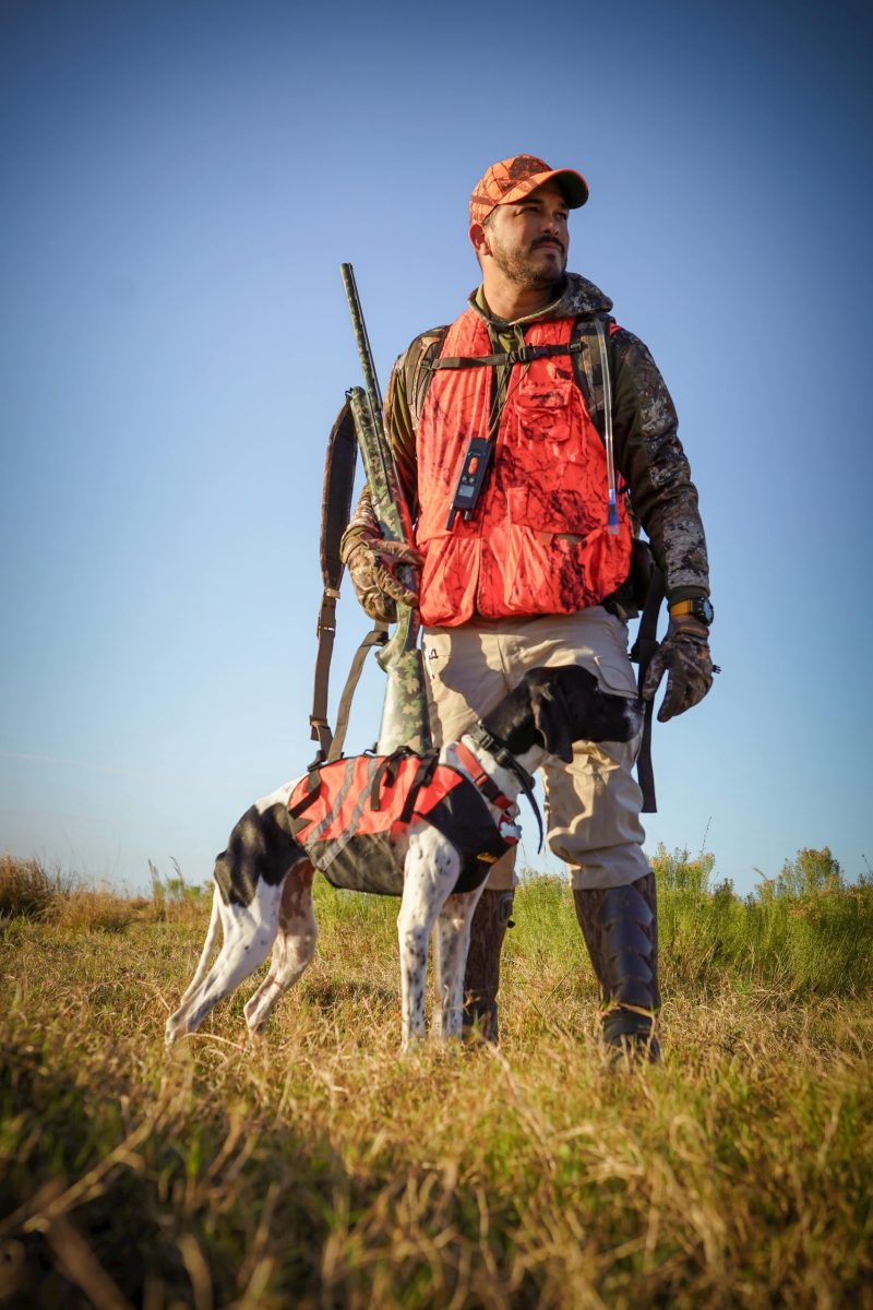 A hunter and his dog in a Florida field, wearing bright gear for safety.