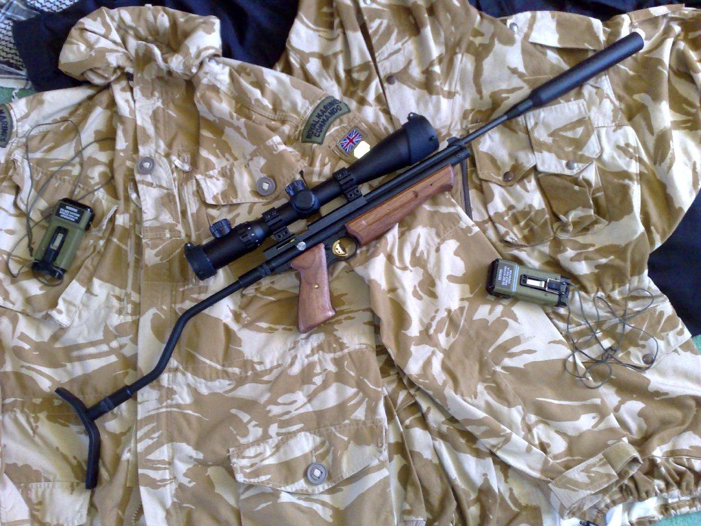 Project Crosman 1377