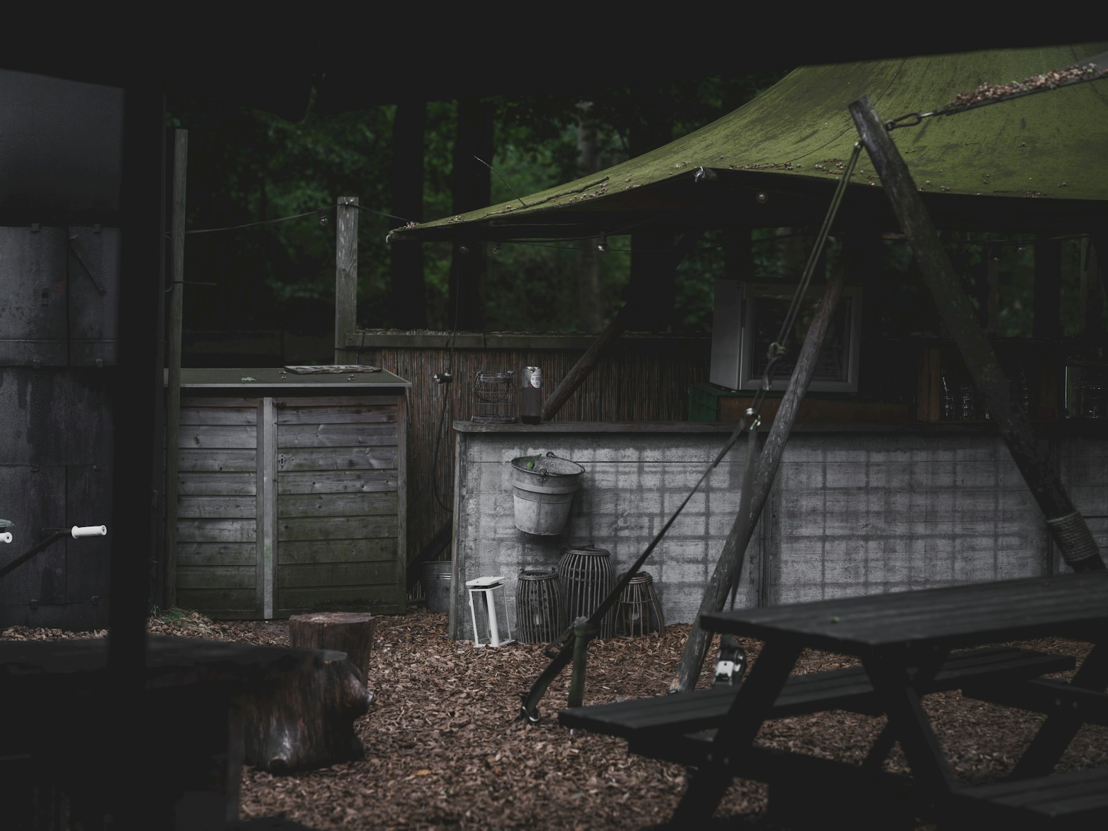 Strange Nighttime Noises