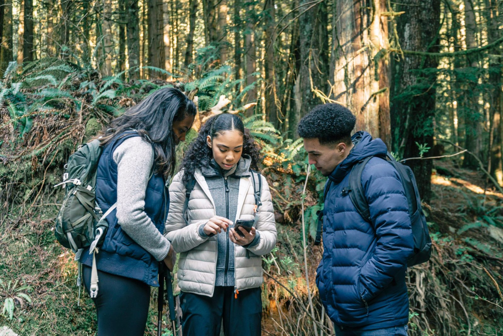 A group of young hikers standing in the forest using a smartphone for navigation.