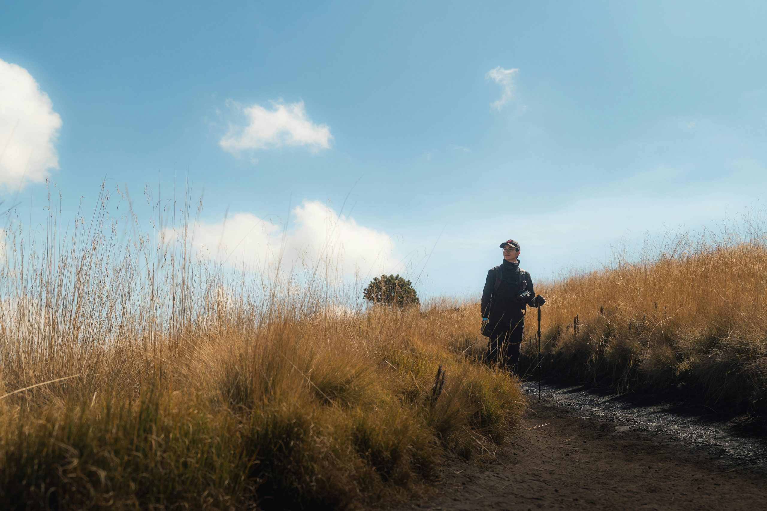 taiki-ishikawa-w6EMxsk8CDA-unsplash