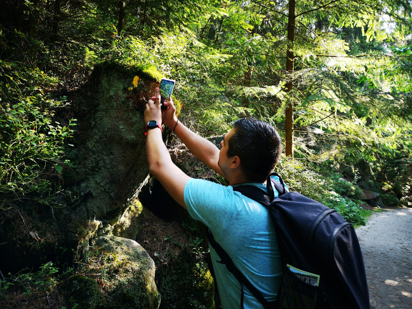 a man taking a picture of a tree in the woods