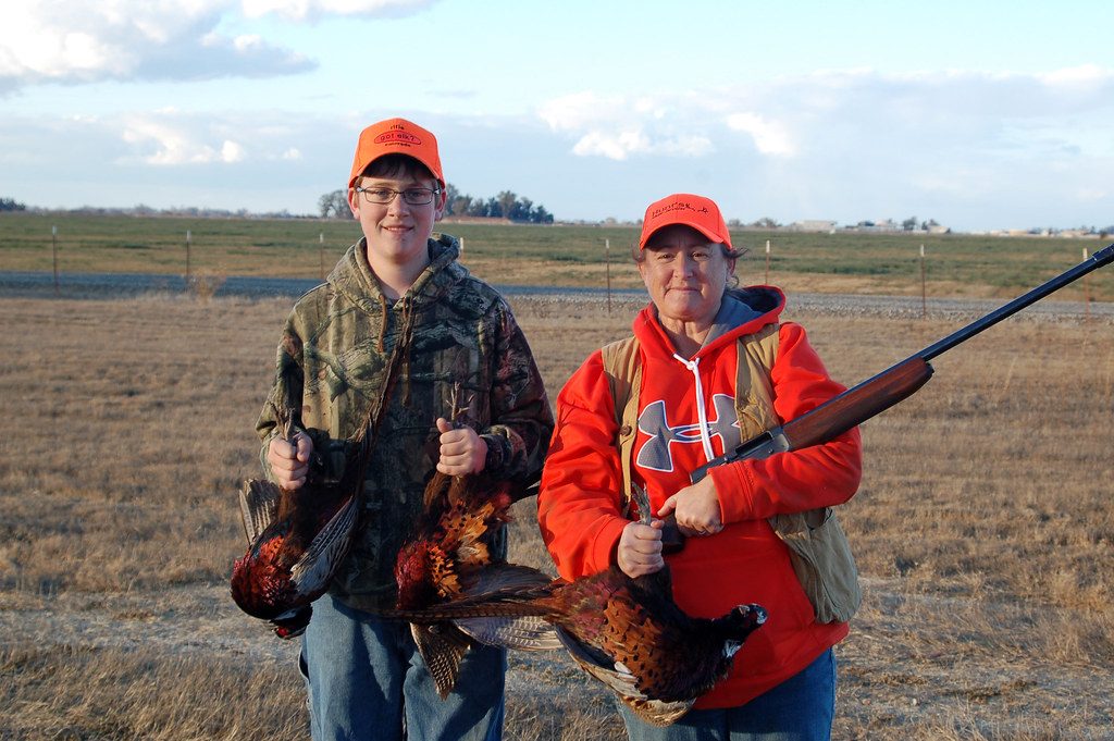 Pheasant Hunting
