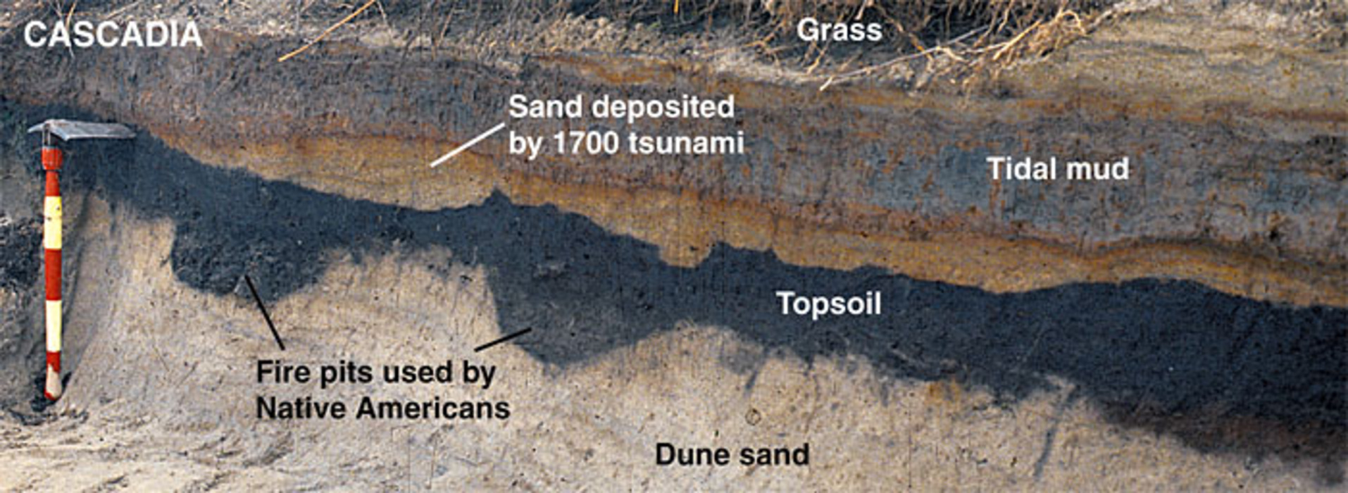 Cascadia Subduction Zone Megaquake
