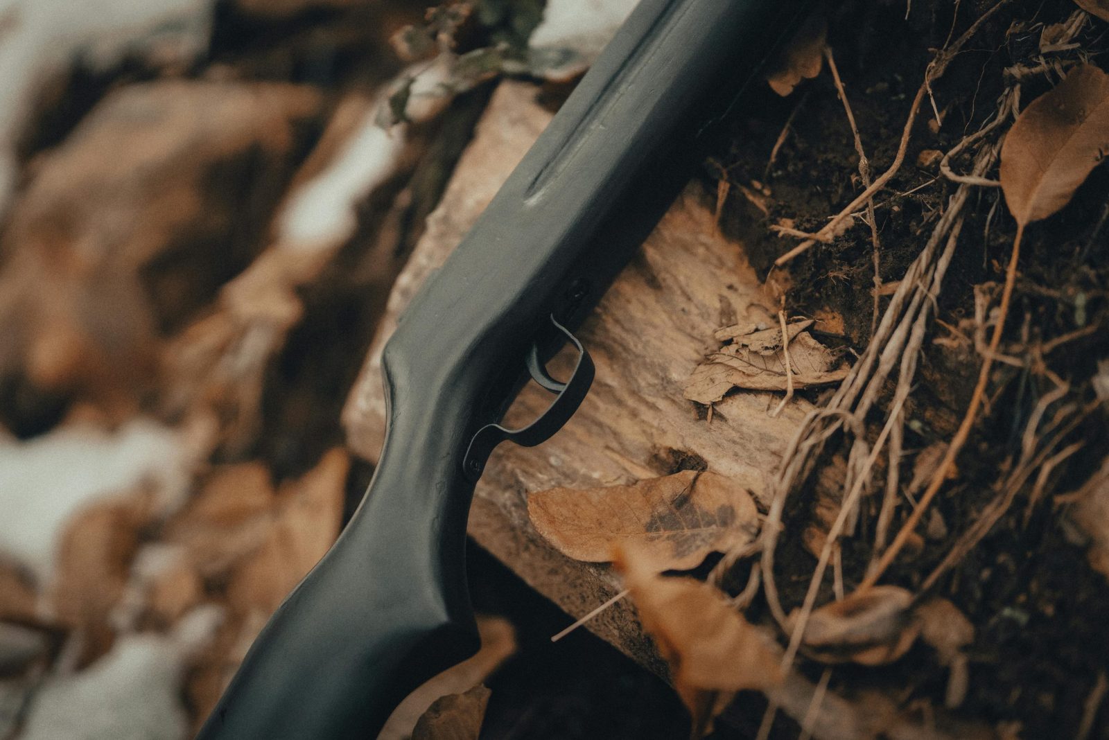 A detailed view of a rifle laying amongst fallen autumn leaves on the forest floor.