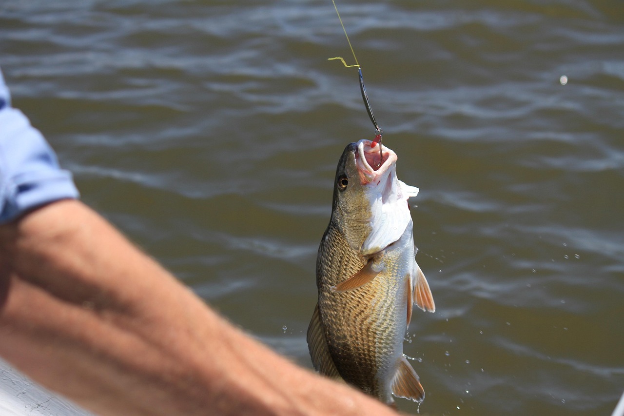 Using Natural Bait Instead of Bottled Lure