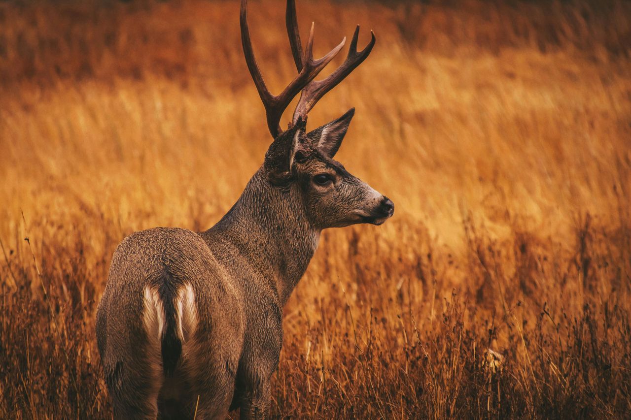 Clyde He/Unsplash