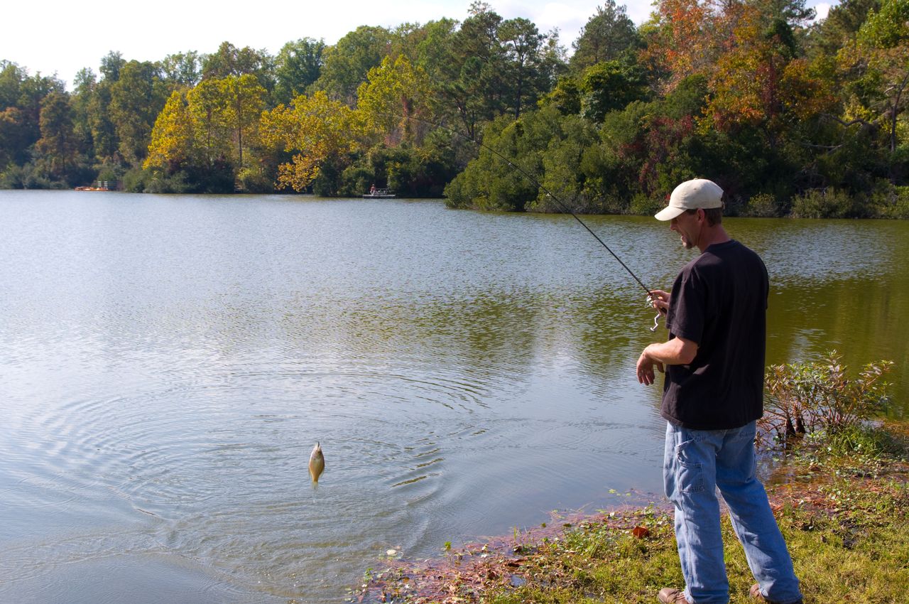 Forward-facing sonar scouting