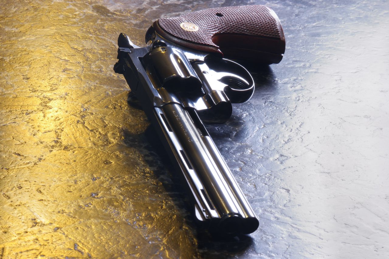Colt Python