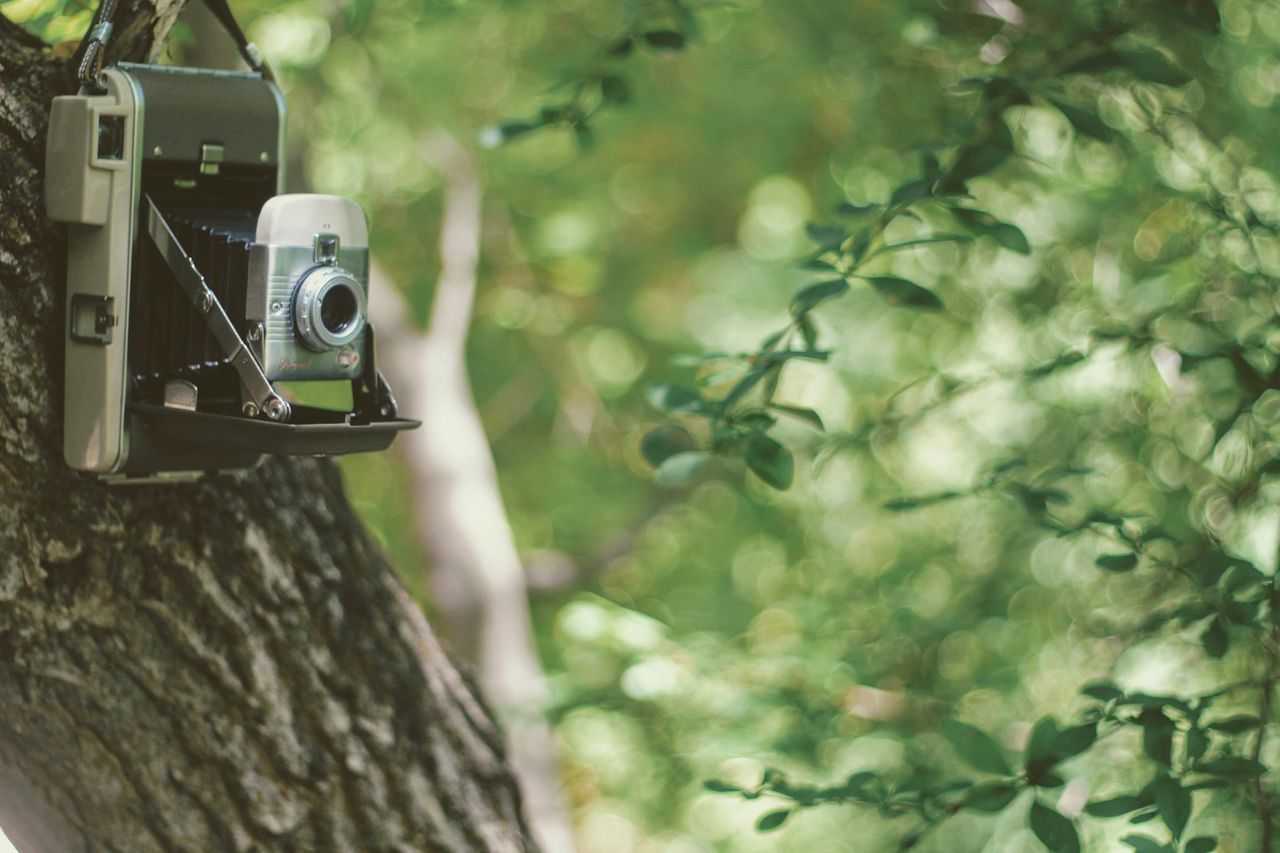 Joshua Hoehne/Unsplash