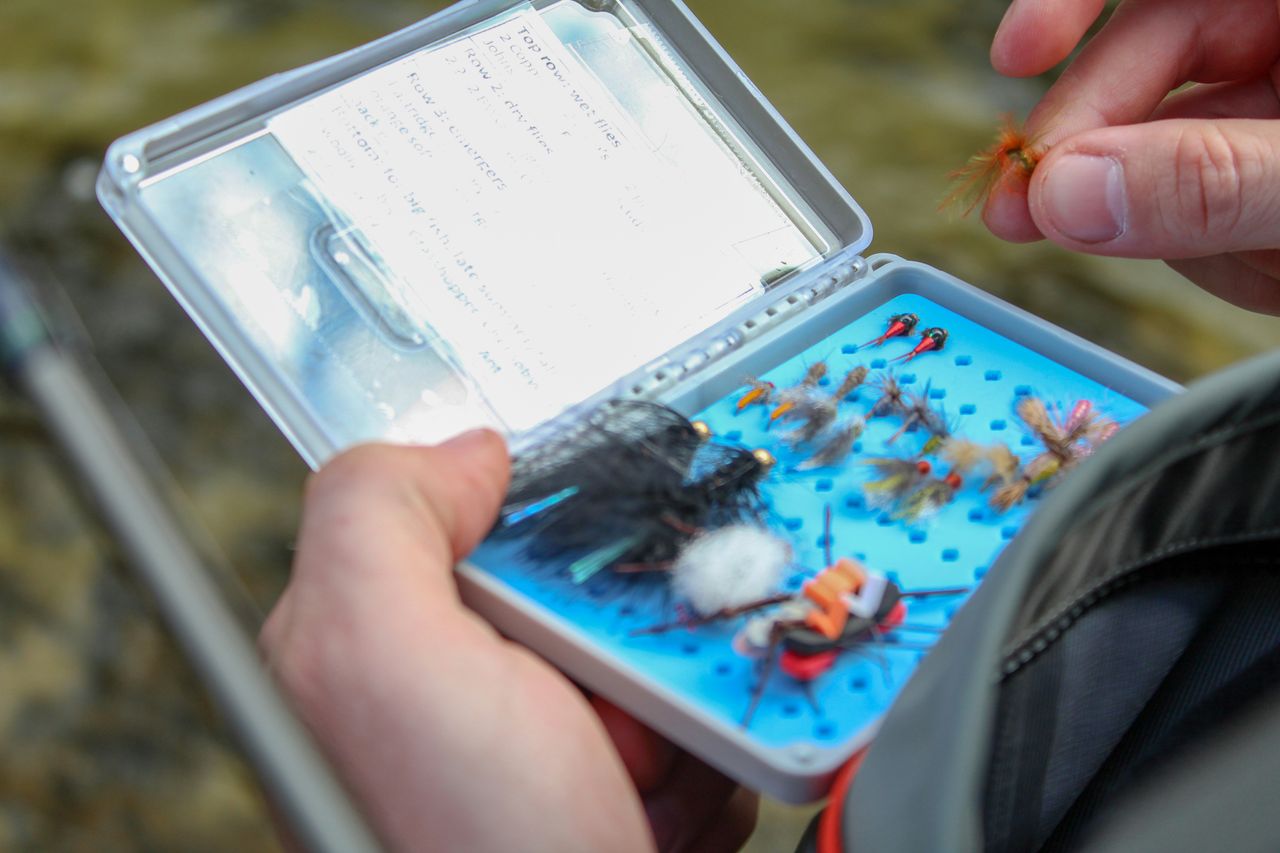 A Day Box for the Most-Used Baits