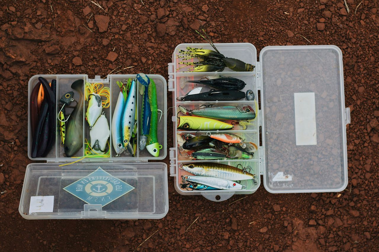 Soft Plastics Stored by Style and Size