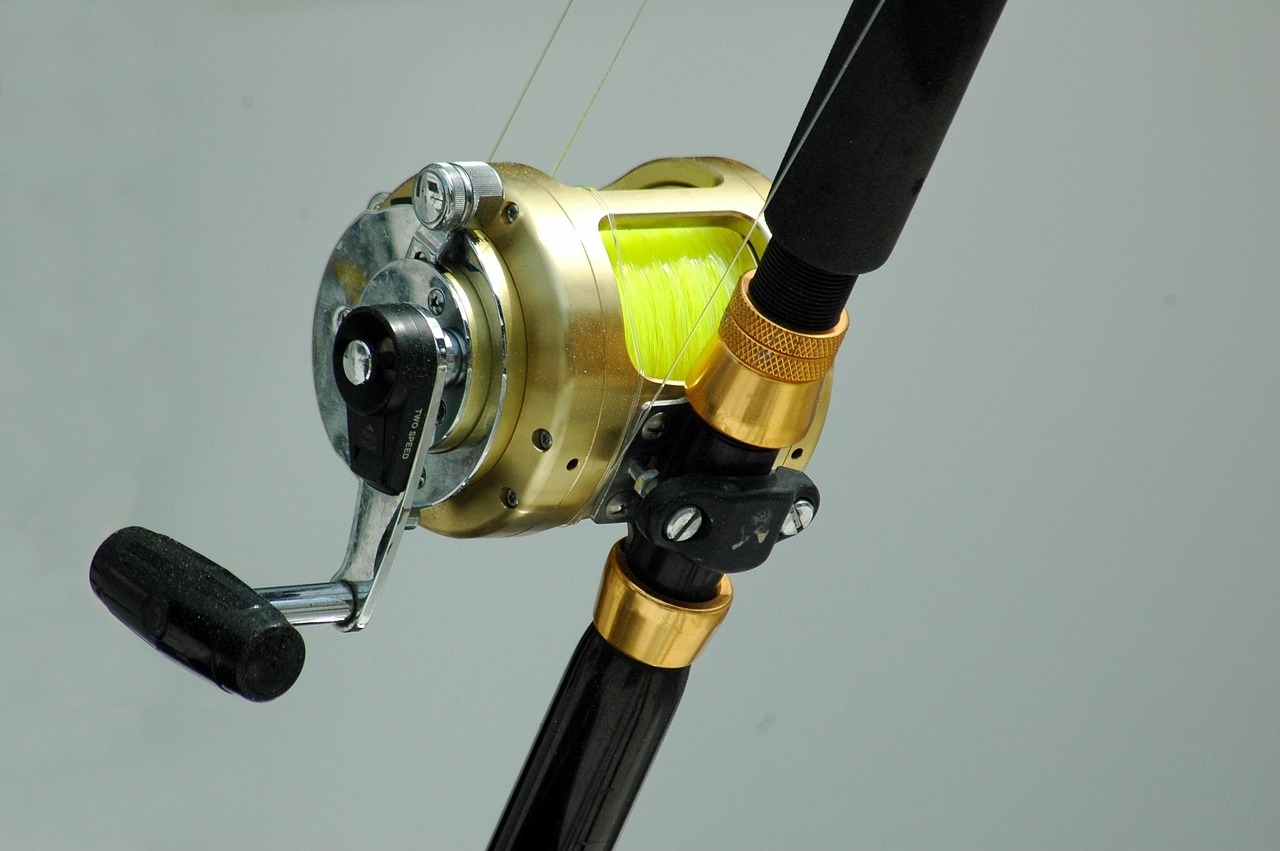 Daiwa Saltiga Inshore