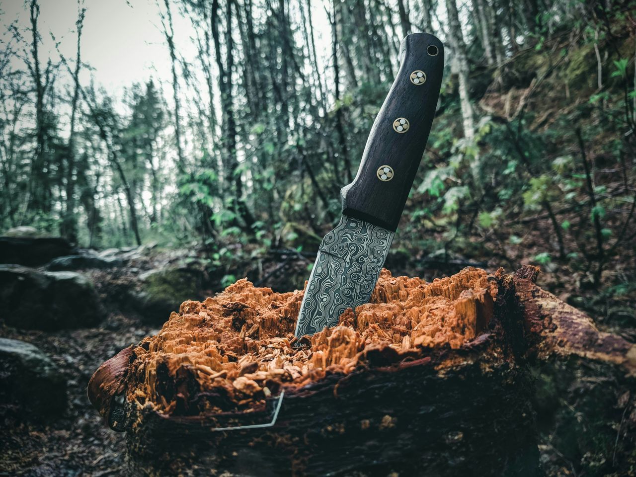 taiki-ishikawa-w6EMxsk8CDA-unsplash