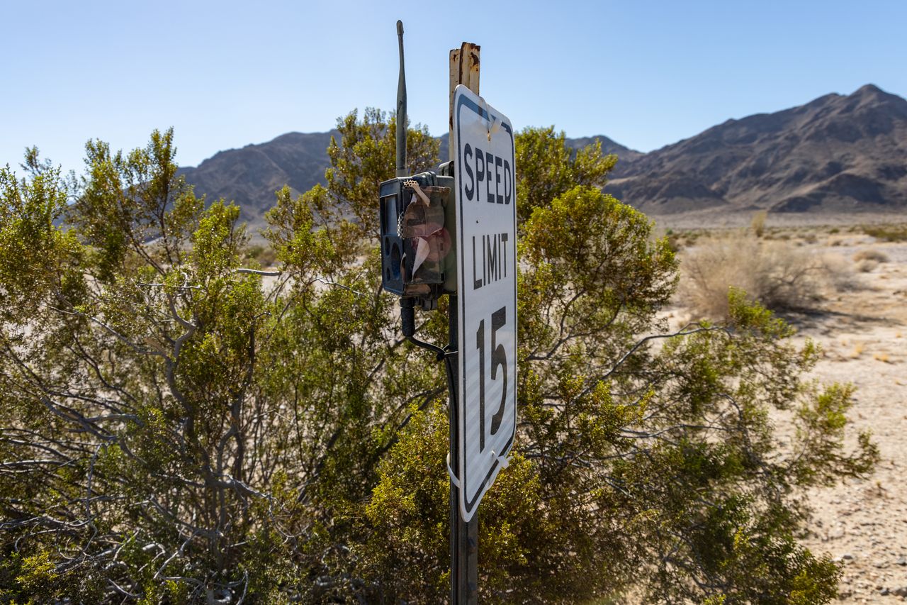 Aiming Straight Down the Trail