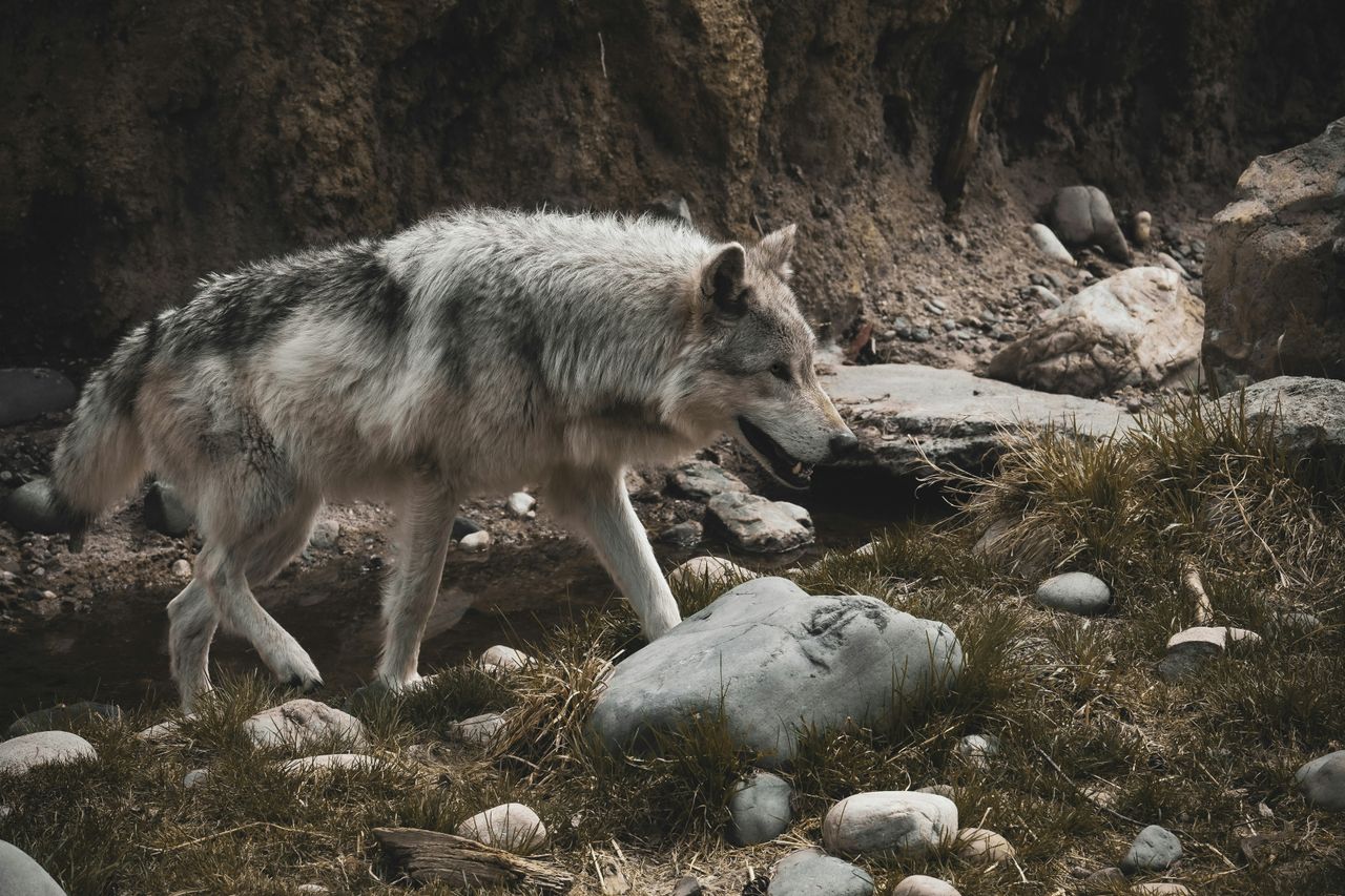 Jeff Heaton/Unsplash