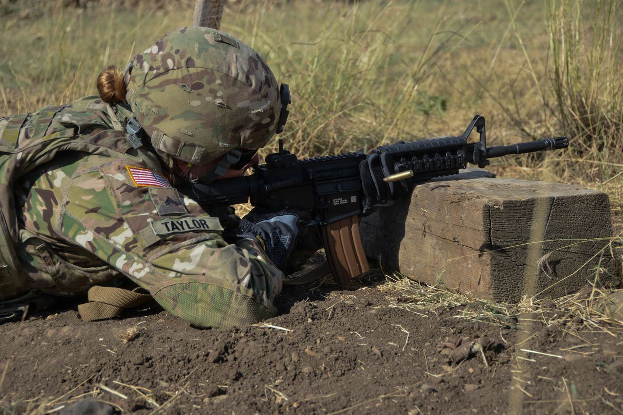 U.S. Army 2SCR by Pfc. Denice Parker/Wikimedia Commons
