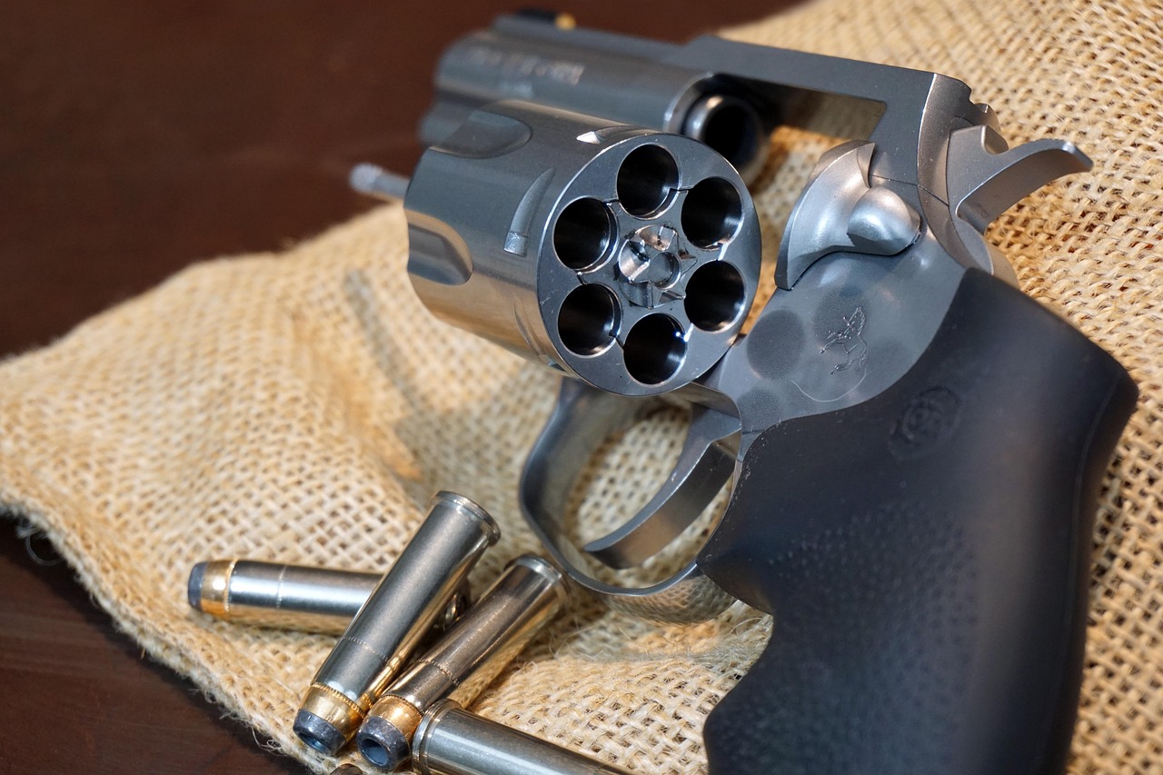 MikeGunner/Pixabay