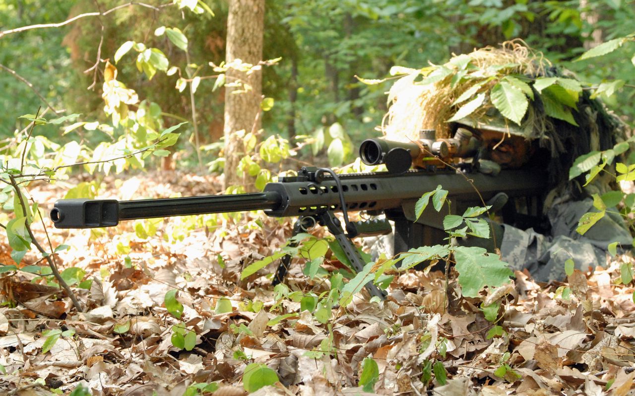 US ARMY/Wikimedia Commons